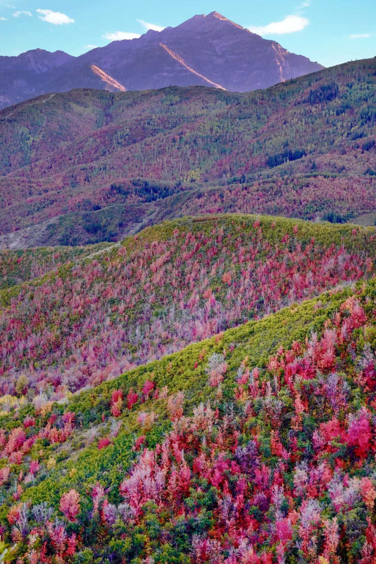 autumn colors utah national park
